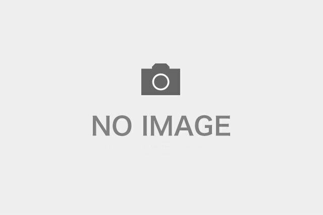 木下大サーカス北九州公演