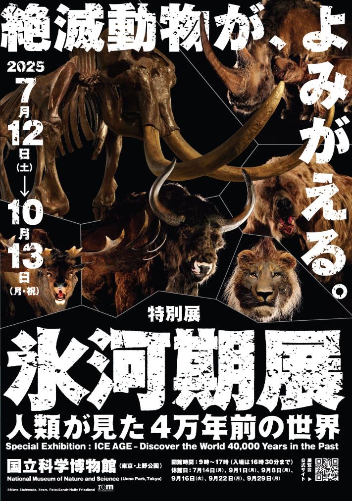 特別展「氷河期展-人類が見た4万年前の世界-」（国立科学博物館）