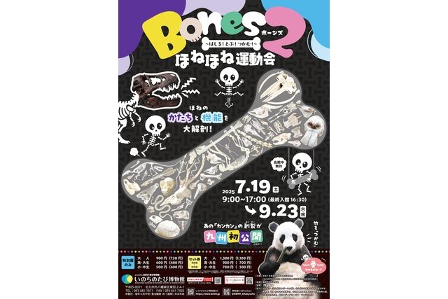 Ｂｏｎｅｓ２　ほねほね運動会　～はしる！とぶ！つかむ！～（いのちのたび博物館）