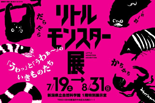リトルモンスター展～「うゎっ」と「ぅわぁ～」のいきものたち～ @新潟県立自然科学館