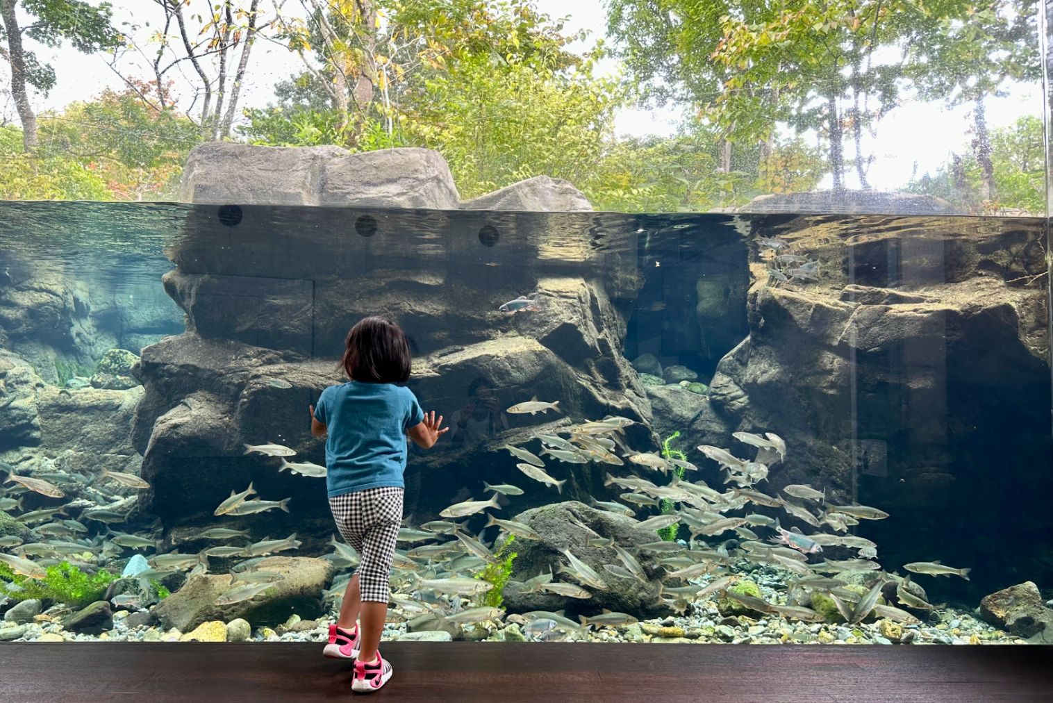 栃木県なかがわ水遊園