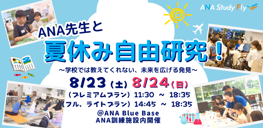 ANA Study Fly
