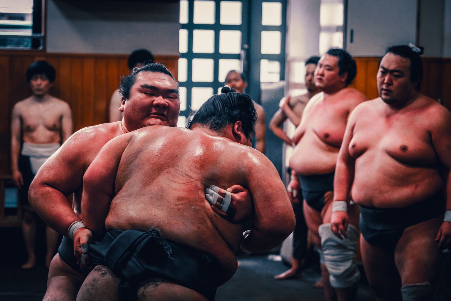 相撲部屋見学ツアー