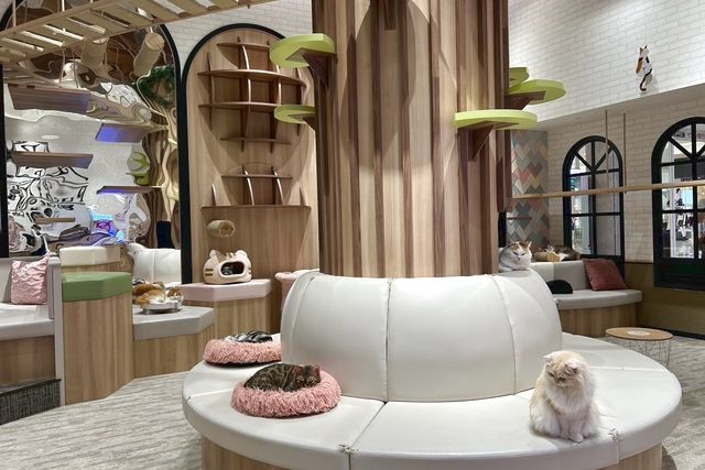 猫カフェPuchiMarry　イオンモール高岡店