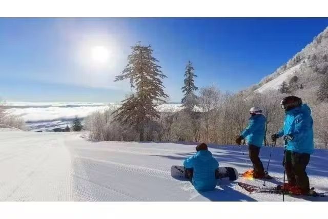 富良野スキー場