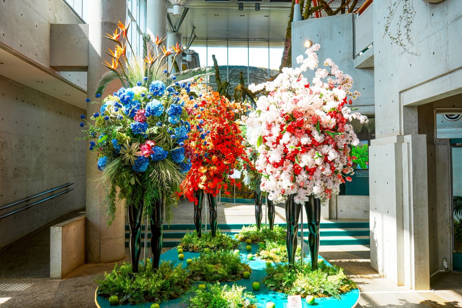 BOTANICA MUSEUM