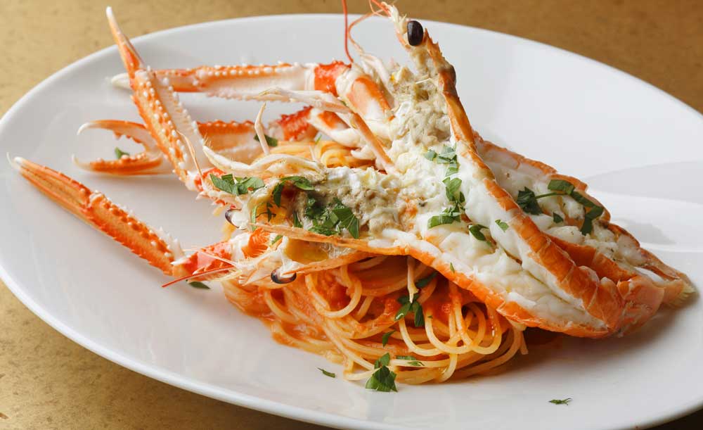 Shrimp Garden_3