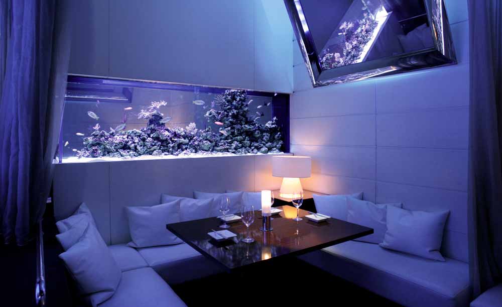 DEN AQUAROOM SHINJUKU_4