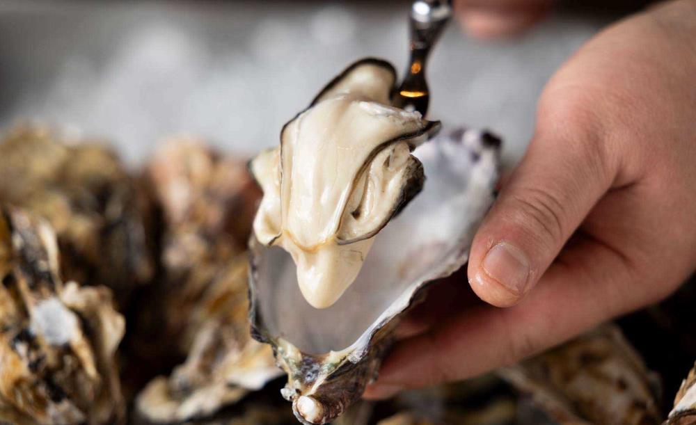 オストレア oysterbar&restaurant 銀座コリドー通り店_4