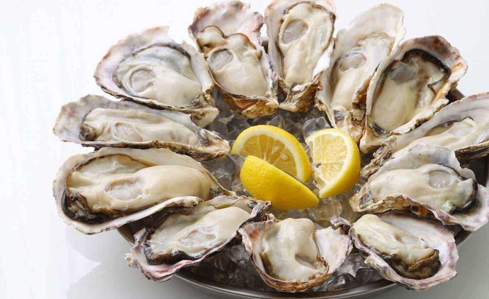 8TH SEA OYSTER Bar 銀座コリドー店_3