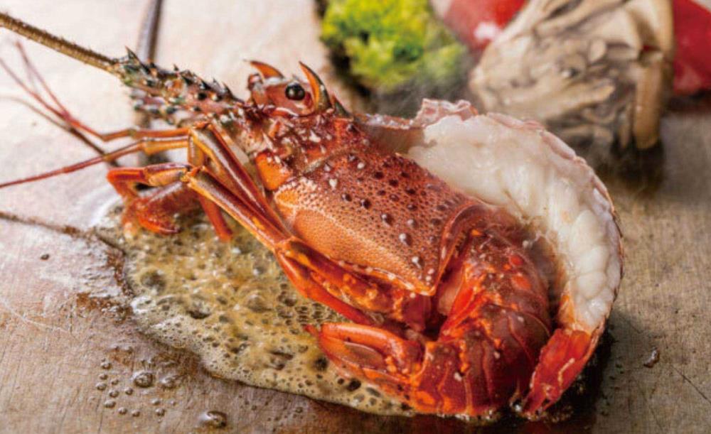 鉄板焼 天 本丸_4