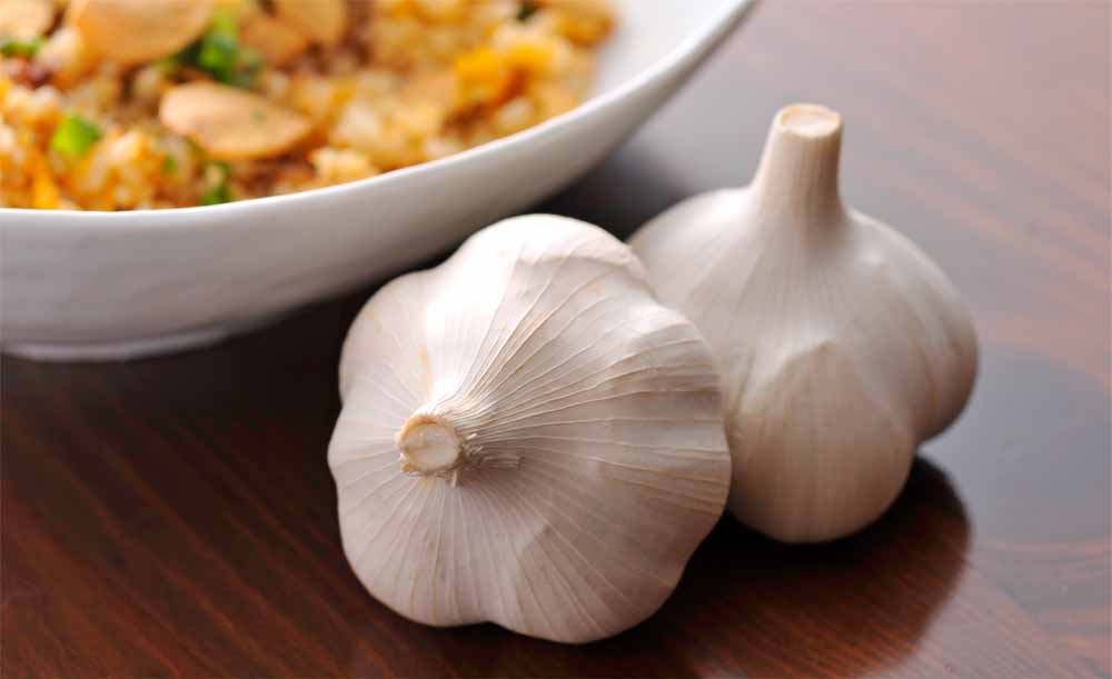 Garlic × Garlic_4