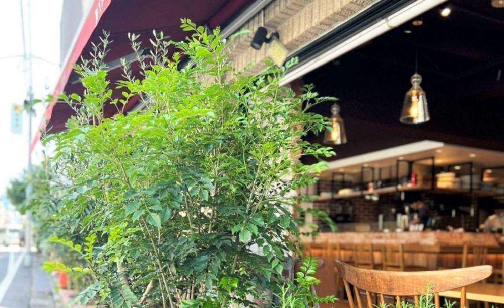 AU GAMIN DE TOKIO table（旧店名：TRATTORIA MODE ）