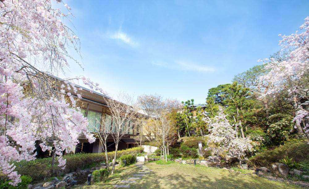 桜鶴苑