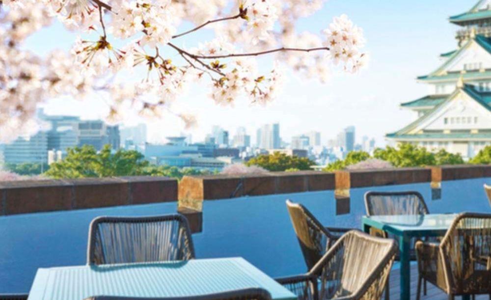 BLUE BIRDS ROOF TOP TERRACE
