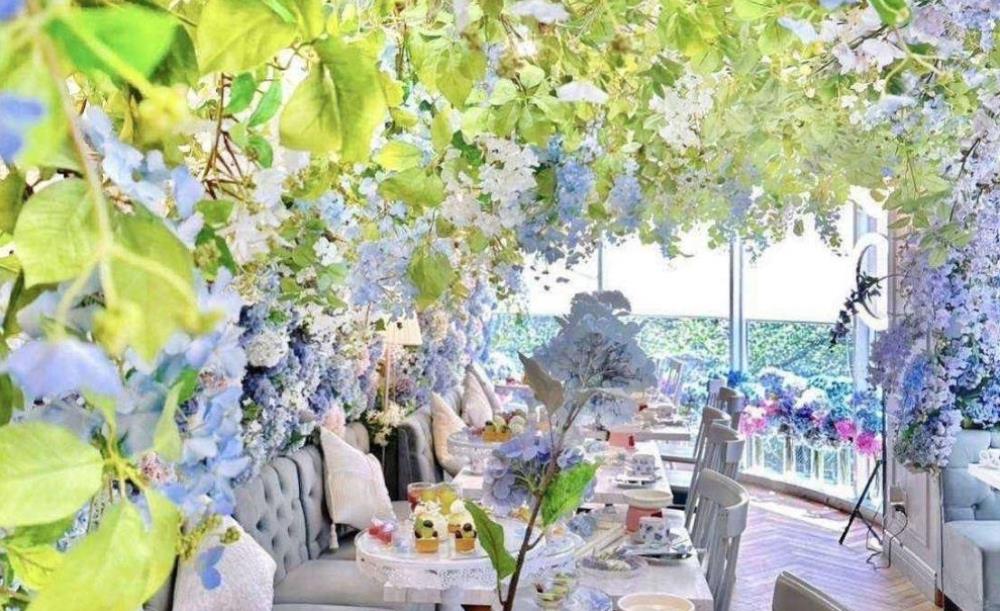 HAUTE COUTURE CAFE