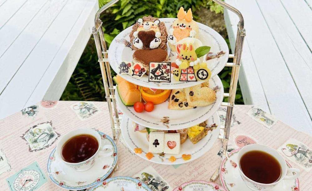 癒しの森のガーデンカフェレストラン Alice_3