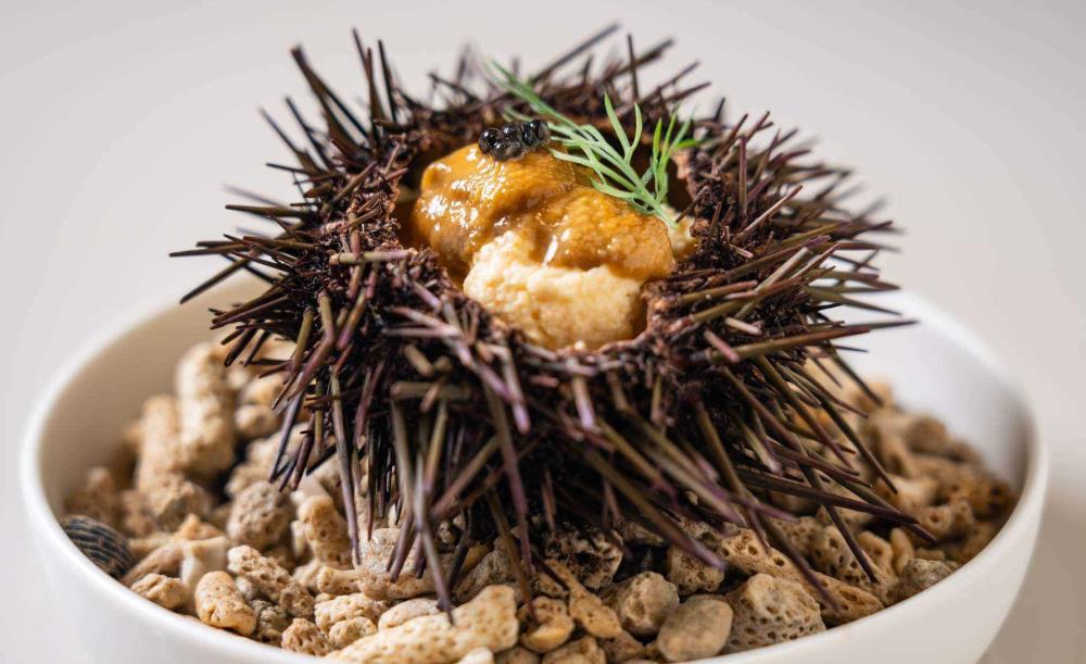 Oysterbar&Wine BELON 広尾_4
