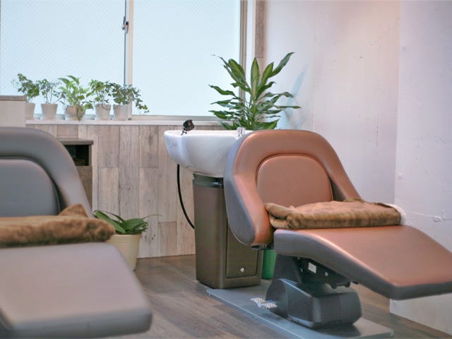Tree. Hair & Spa_1