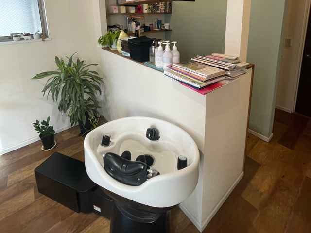 GO10 hair_1
