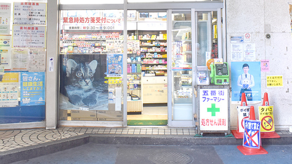 五番街ファーマシー　横浜駅西口本店_2