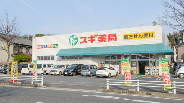 スギ薬局　高横須賀店