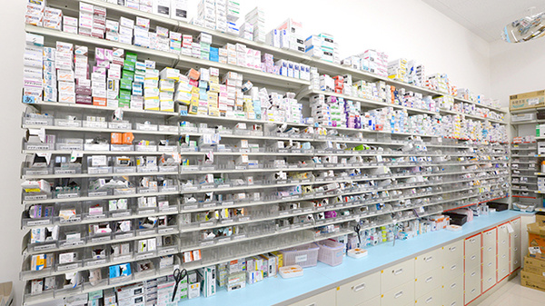 スギ薬局　伏見向島店_2