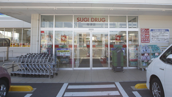 スギ薬局　寺津店_2