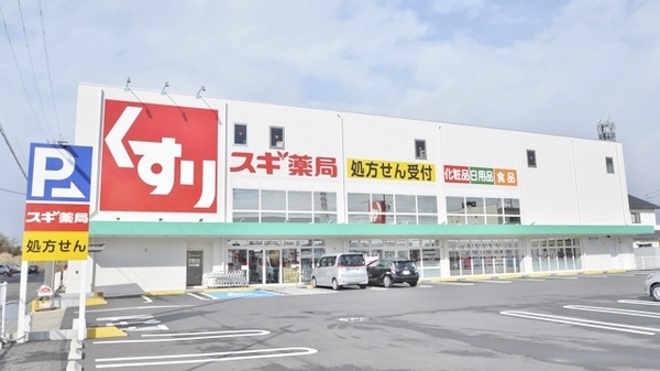 スギ薬局　柳津店