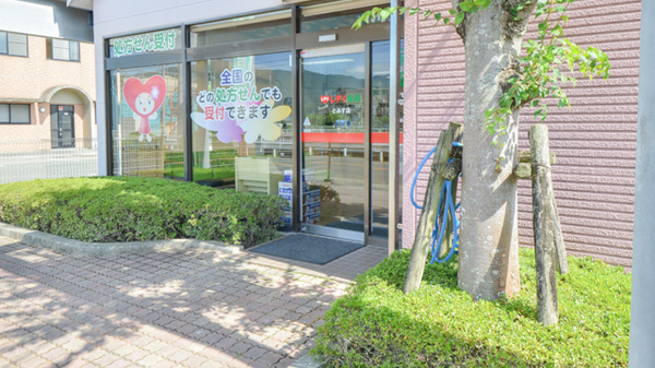 レデイ薬局とみす店_2