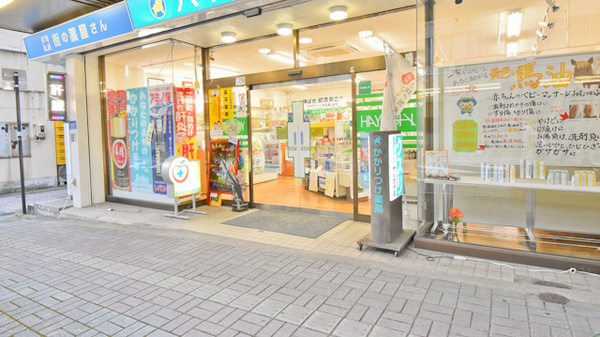 株式会社ハヤシ薬局_2