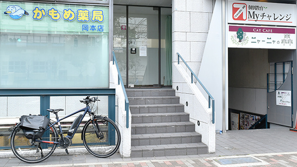 かもめ薬局　岡本店_2