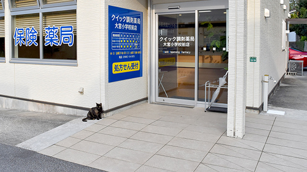 クイック調剤薬局 大宮小学校前店_2
