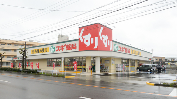 スギ薬局 西尾桜町店