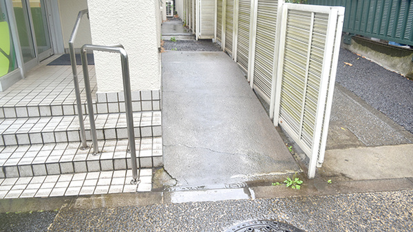木場ライム薬局_3
