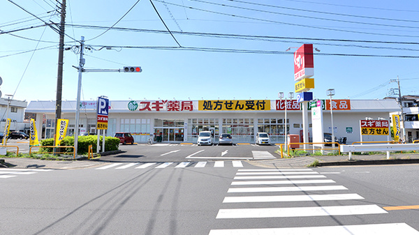 スギ薬局 南元宿店