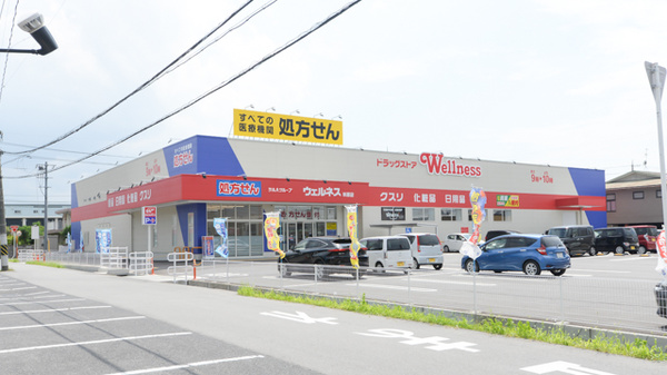 ウェルネス薬局米原店