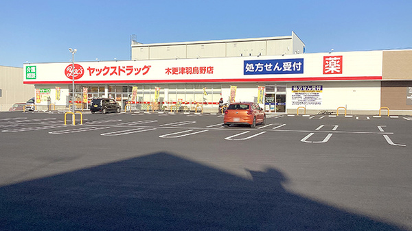 ヤックスドラッグ木更津羽鳥野薬局