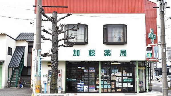 加藤薬局　昭和店