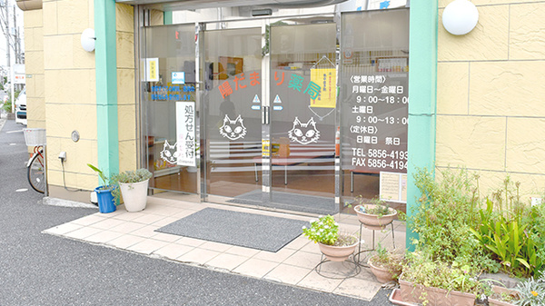 陽だまり薬局_2