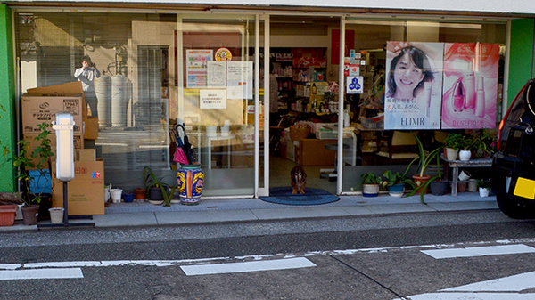 小向薬局本店_2