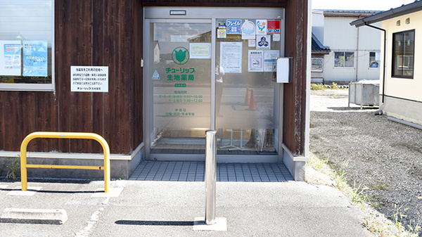 チューリップ生地薬局_2