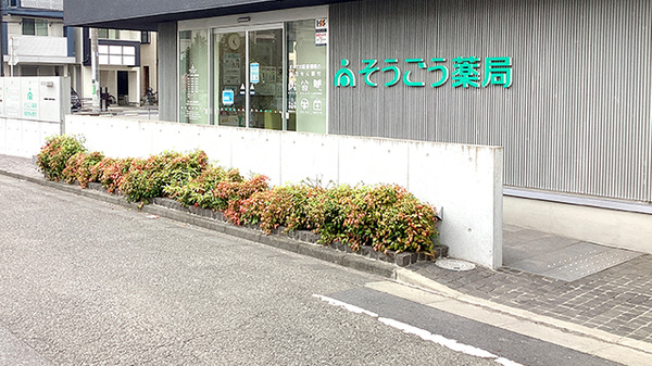 そうごう薬局 南加瀬店_2