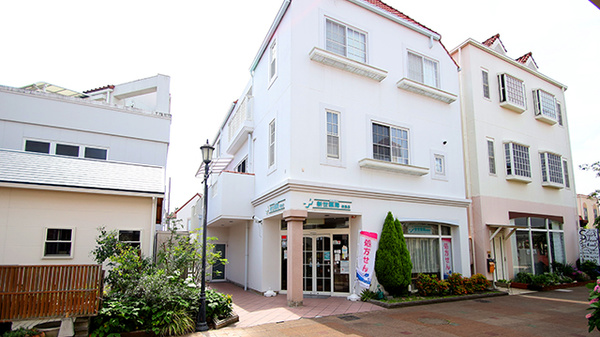 新世薬局 新島店