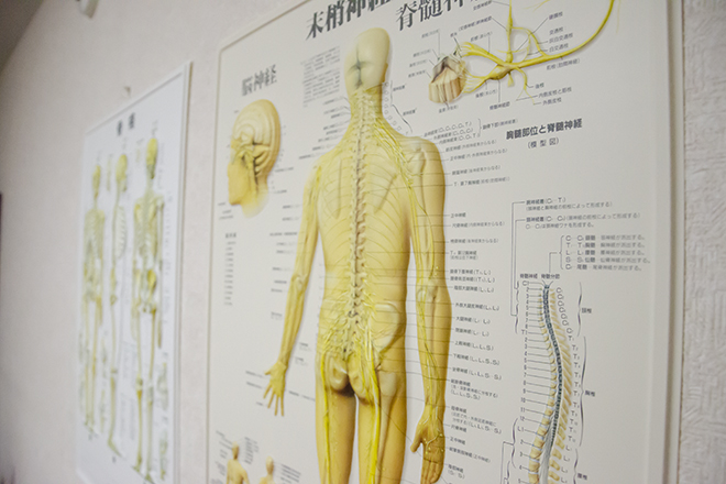 小川カイロプラクティック相模大野整体院_13