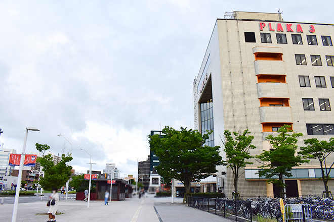 クリニカルカイロプラクティック駅南_13