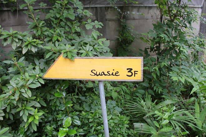 Suasie_21