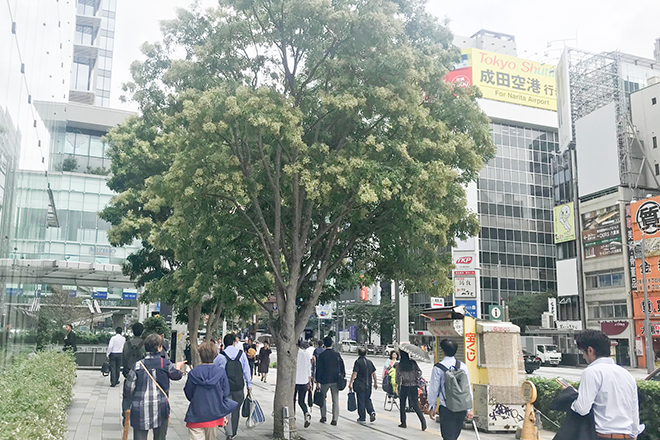 ネット予約可 もみの匠 東京駅店 中央区日本橋駅 東京メトロ 口コミ 評判 Epark