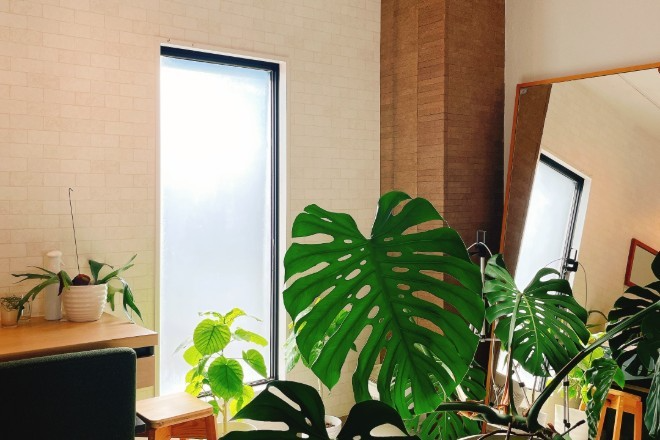 口腔整体 KUKAI_5