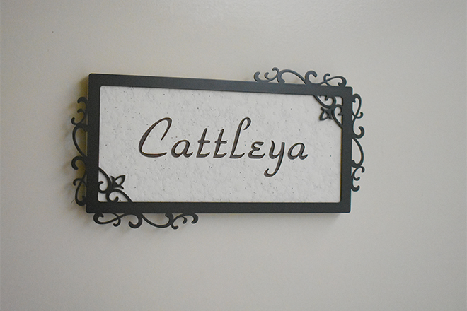 Cattleya_1